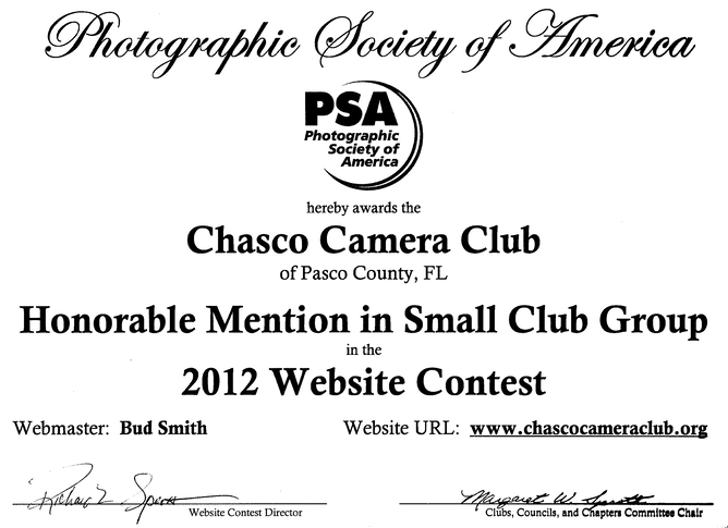 Chasco Web Site Award cropped